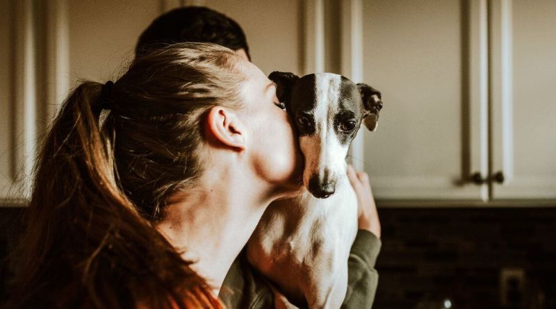Is Pet Insurance Worth It? An Honest Breakdown of Costs vs. Savings